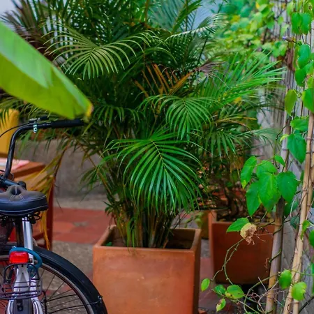 Casa Cliche Hostel